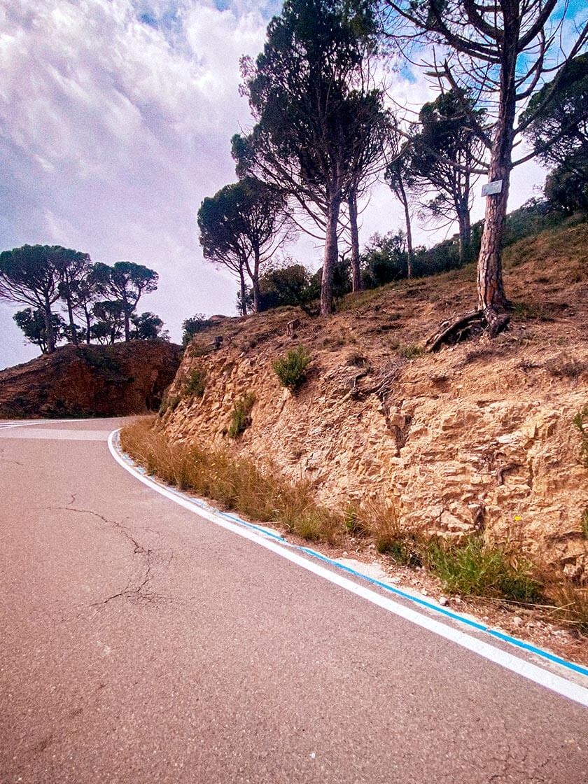 Küstenstraße und mediterrane Bäume